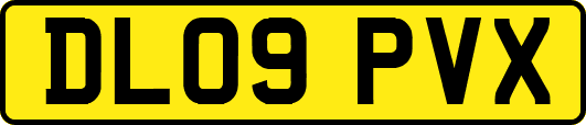 DL09PVX