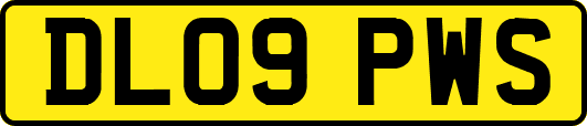 DL09PWS