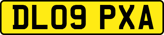 DL09PXA