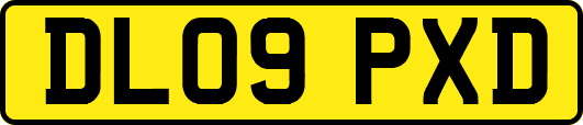 DL09PXD