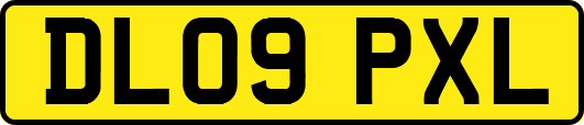 DL09PXL