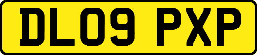 DL09PXP