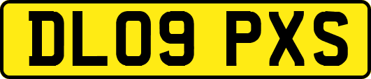 DL09PXS