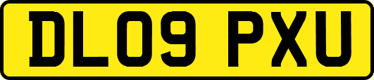 DL09PXU