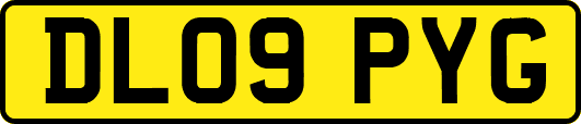 DL09PYG