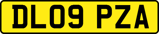 DL09PZA