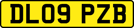 DL09PZB