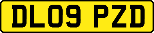 DL09PZD