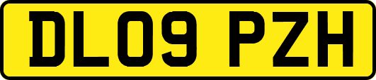 DL09PZH