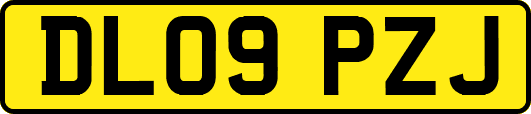 DL09PZJ