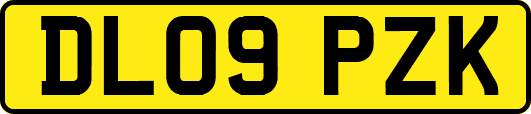 DL09PZK