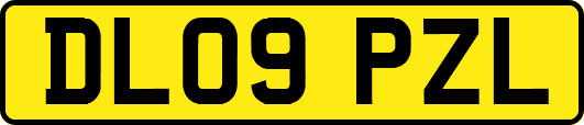 DL09PZL