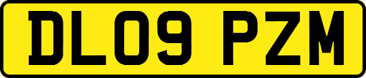 DL09PZM