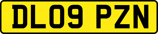 DL09PZN