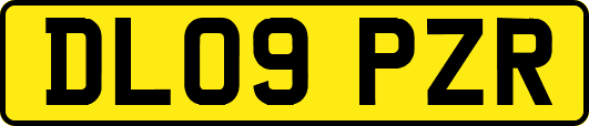 DL09PZR