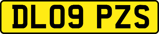 DL09PZS