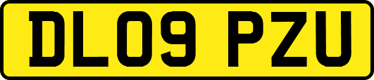 DL09PZU