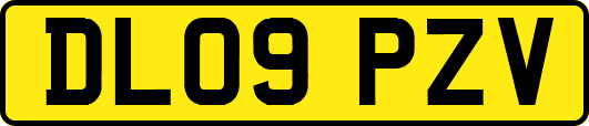 DL09PZV