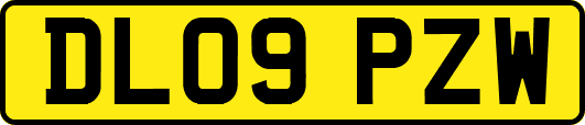 DL09PZW