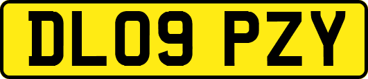DL09PZY