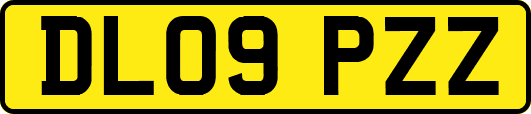 DL09PZZ