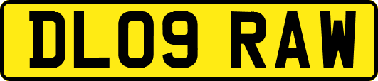 DL09RAW