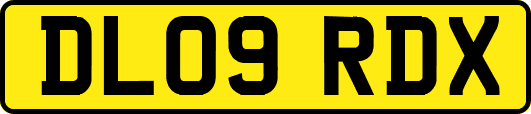 DL09RDX