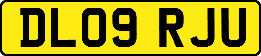 DL09RJU