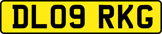 DL09RKG