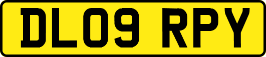 DL09RPY