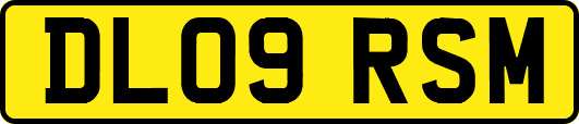 DL09RSM