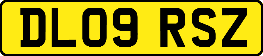 DL09RSZ