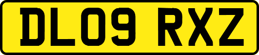 DL09RXZ