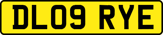 DL09RYE