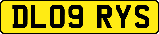 DL09RYS