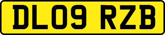 DL09RZB
