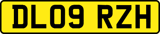 DL09RZH