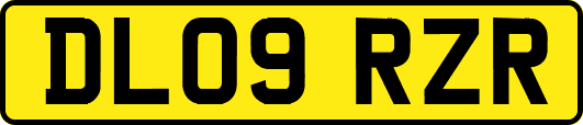 DL09RZR