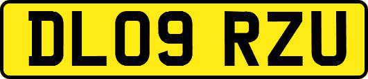 DL09RZU
