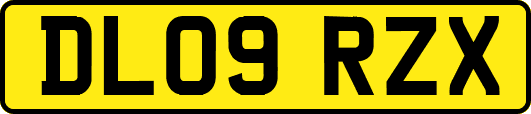 DL09RZX