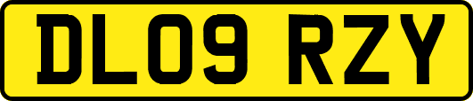 DL09RZY