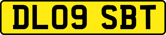 DL09SBT