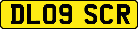 DL09SCR