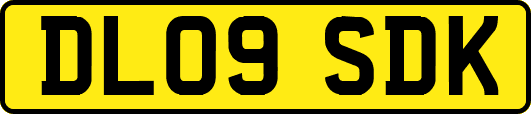 DL09SDK