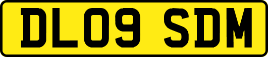 DL09SDM