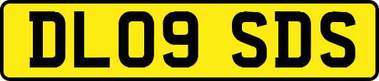 DL09SDS