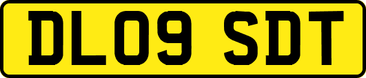 DL09SDT