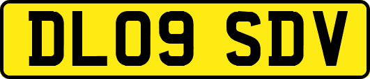DL09SDV