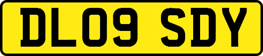 DL09SDY