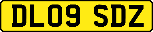 DL09SDZ
